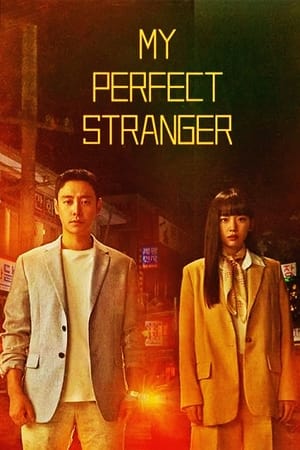 My Perfect Stranger Tagalog Dubbed
